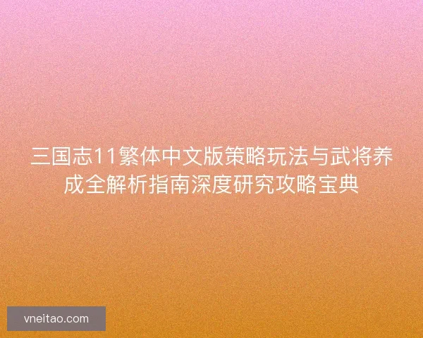 三国志11繁体中文版策略玩法与武将养成全解析指南深度研究攻略宝典