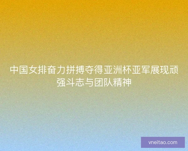 中国女排奋力拼搏夺得亚洲杯亚军展现顽强斗志与团队精神